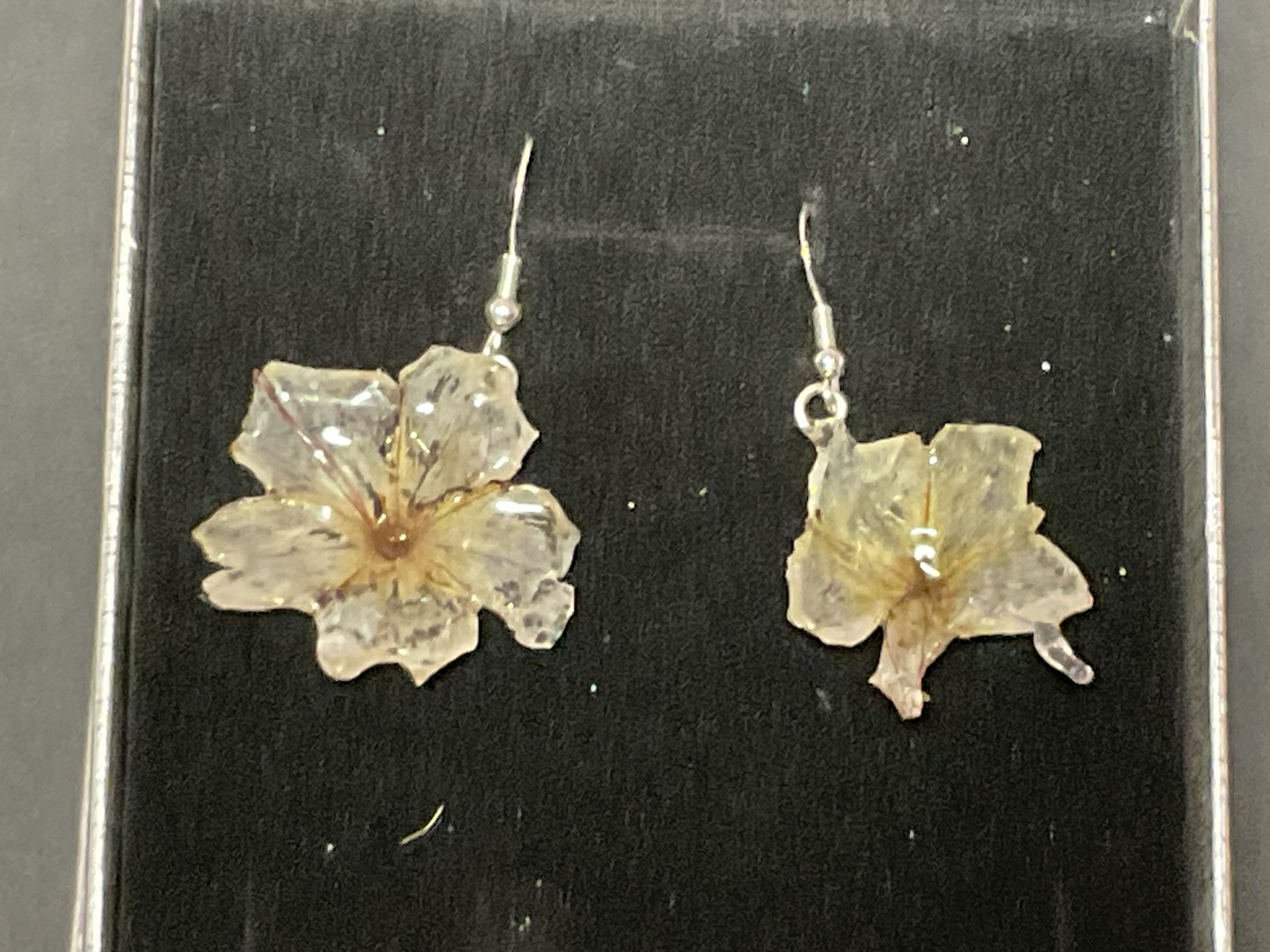 Pair of real preserved flowers handcrafted into earrings